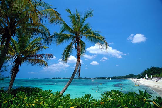 typical Caribbean landscape