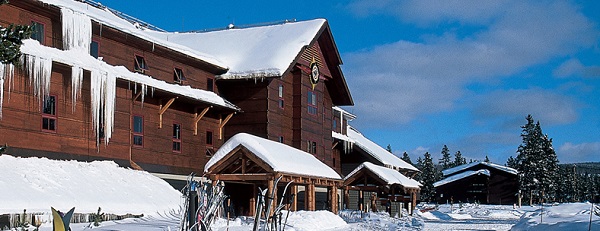 Snow Lodge with skier